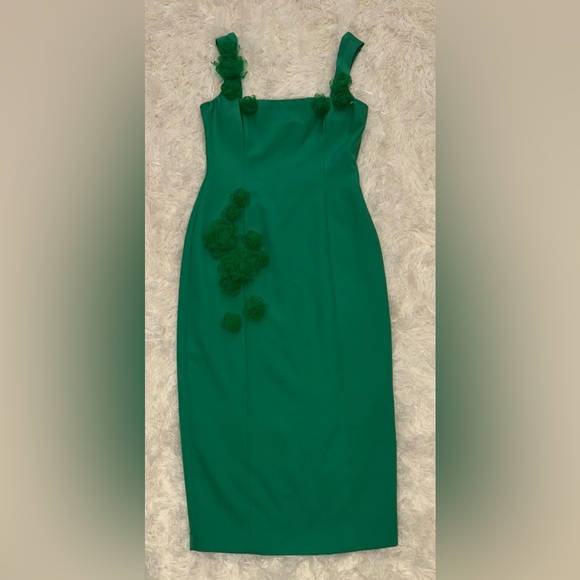 NEW Elliatt Valeria 3D Floral Appliqué Sheath Sleeveless Midi Dress Green Sz M - Picture 3 of 7